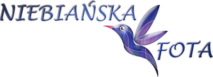 Niech ulotność stanie się pamiątką